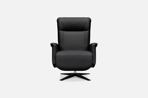 Palve Recliner