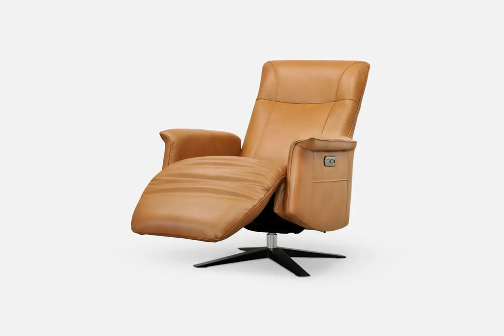 Palve Recliner